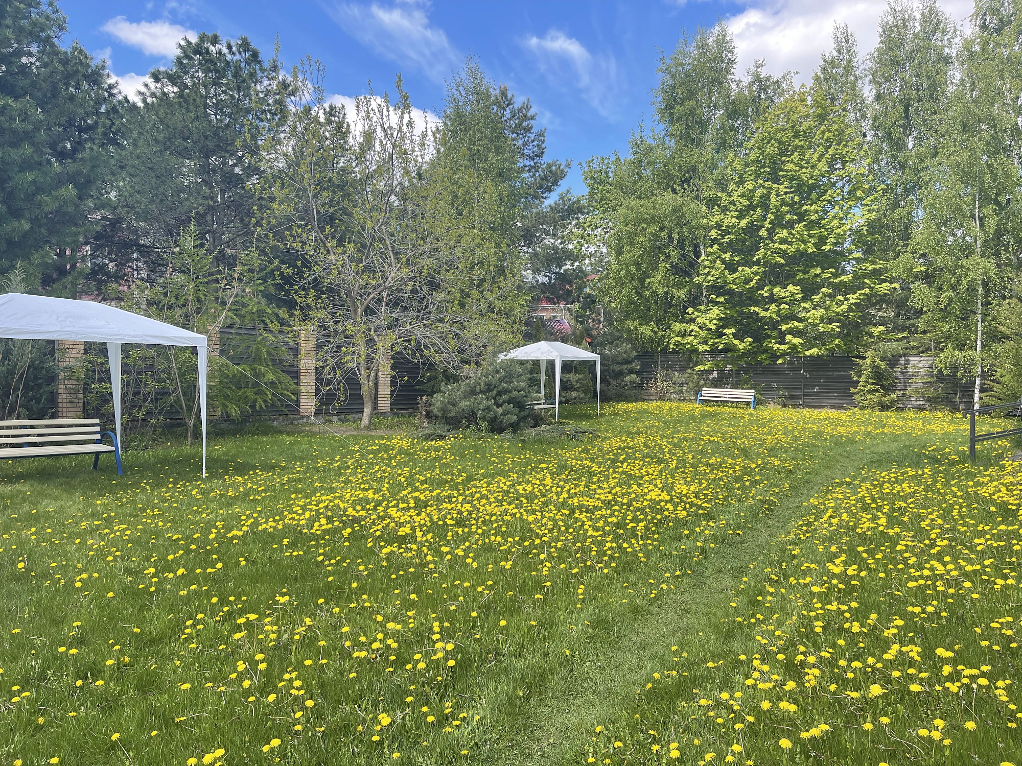 Пансионат для пожилых людей Опалиха