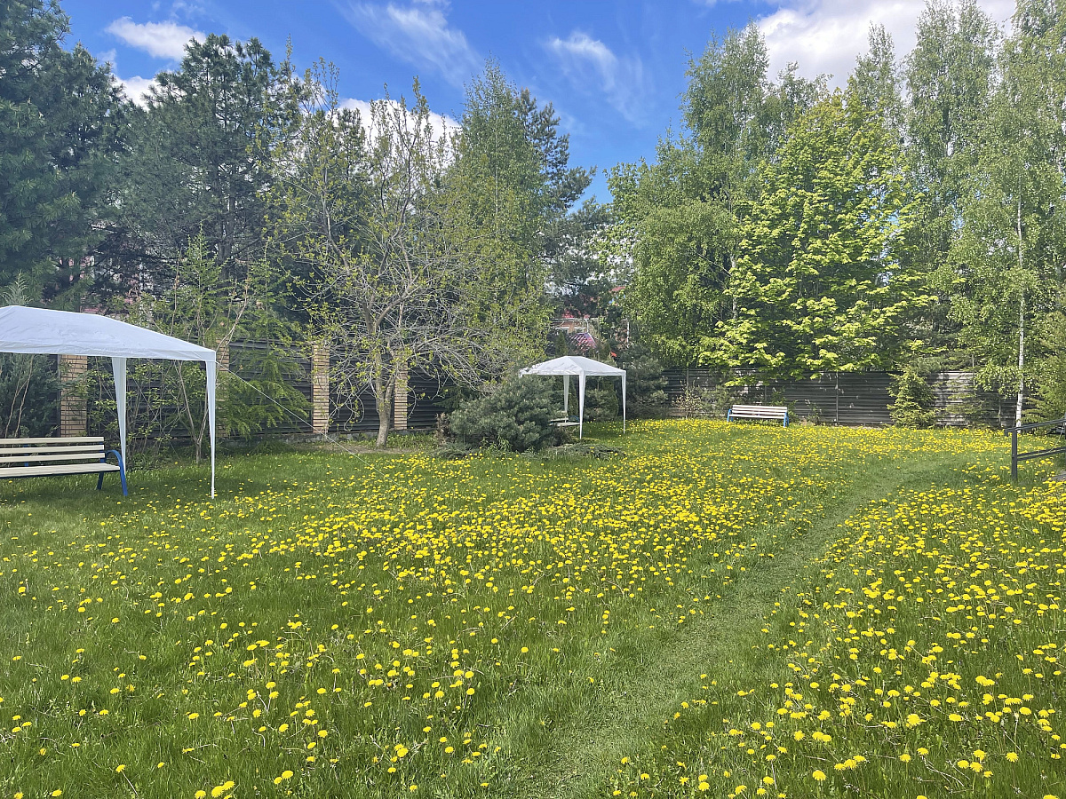 Пансионат для пожилых людей Опалиха фото 1