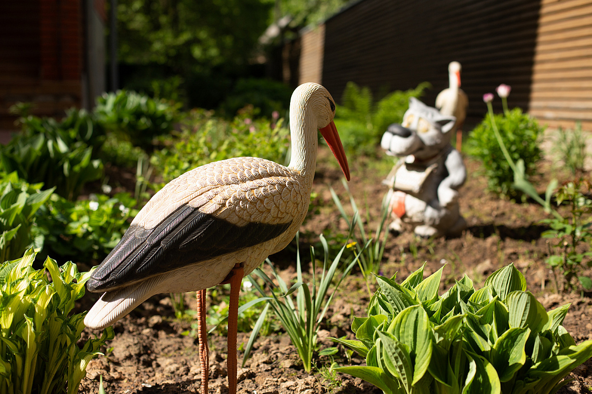 Пансионат для пожилых Марфино фото 3